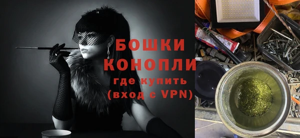 гашик Богданович