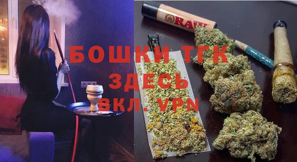 гашик Богданович